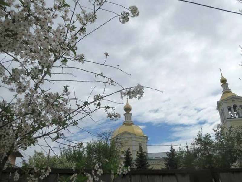 Никольский собор в цвету (ФОТО)